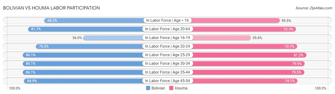 Bolivian vs Houma Labor Participation