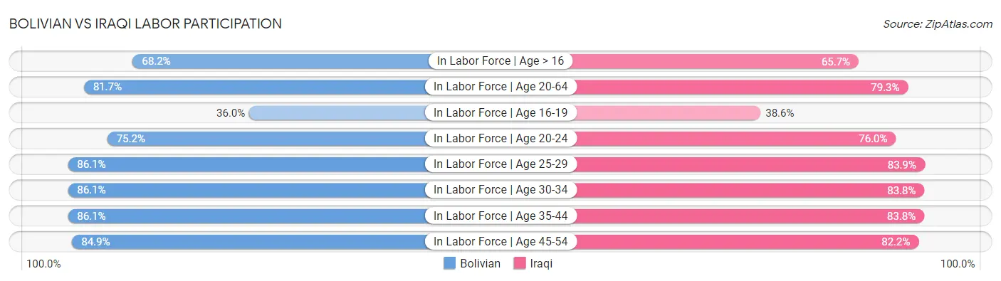 Bolivian vs Iraqi Labor Participation