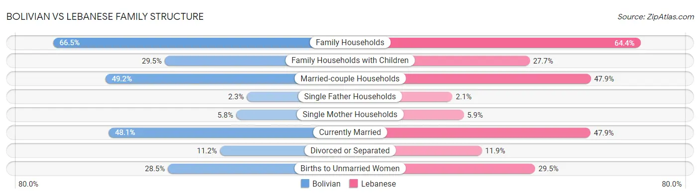Bolivian vs Lebanese Family Structure
