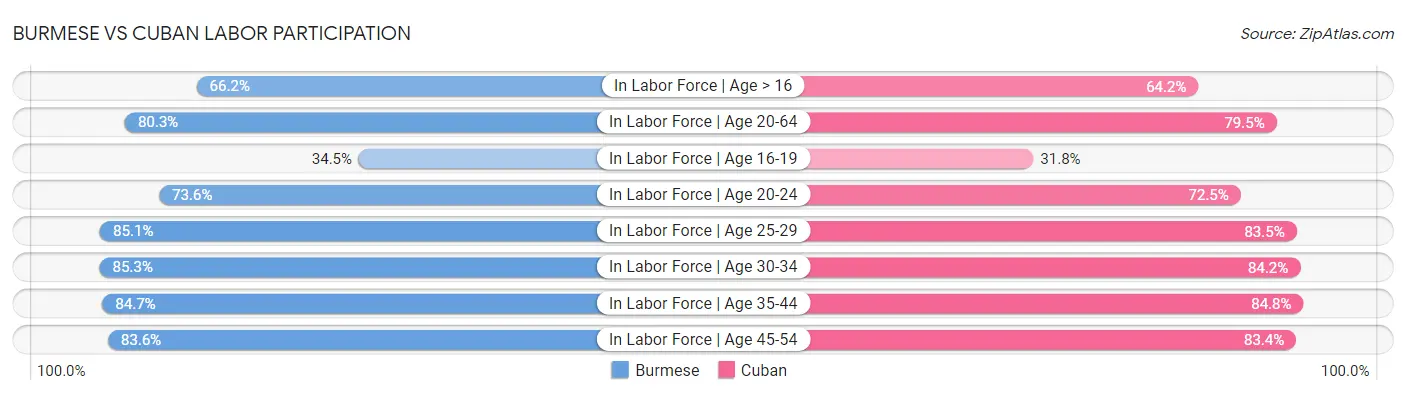 Burmese vs Cuban Labor Participation