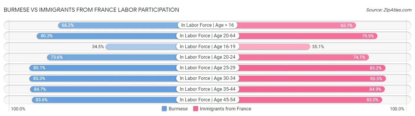 Burmese vs Immigrants from France Labor Participation
