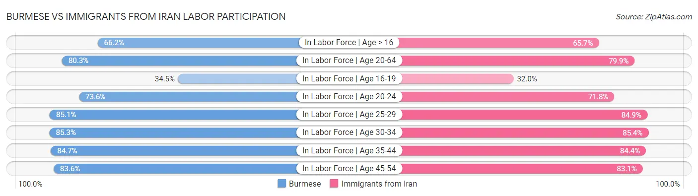 Burmese vs Immigrants from Iran Labor Participation