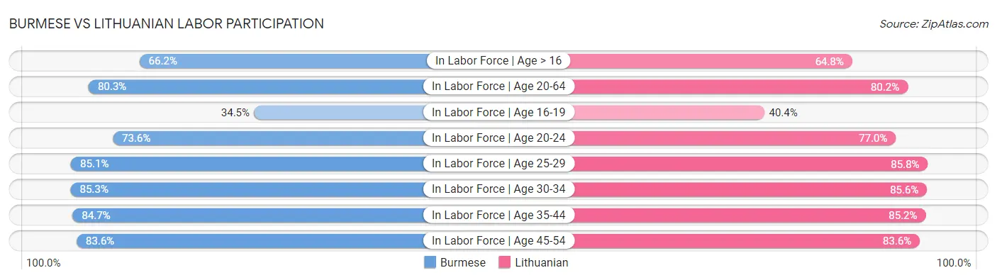 Burmese vs Lithuanian Labor Participation