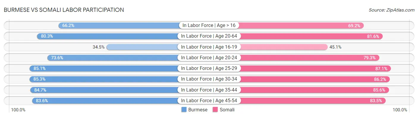 Burmese vs Somali Labor Participation