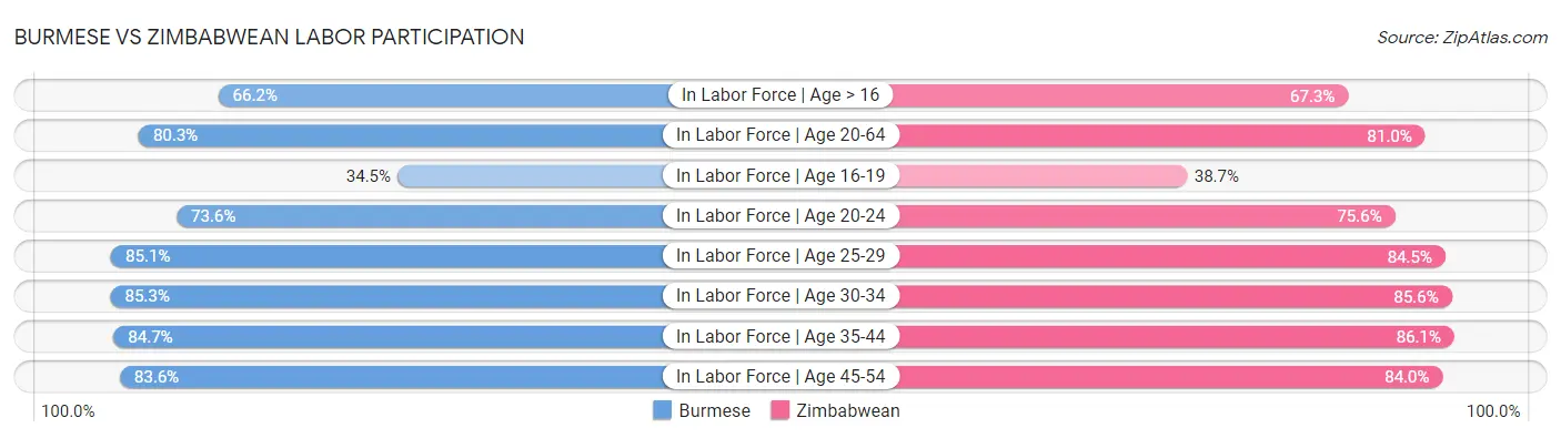 Burmese vs Zimbabwean Labor Participation