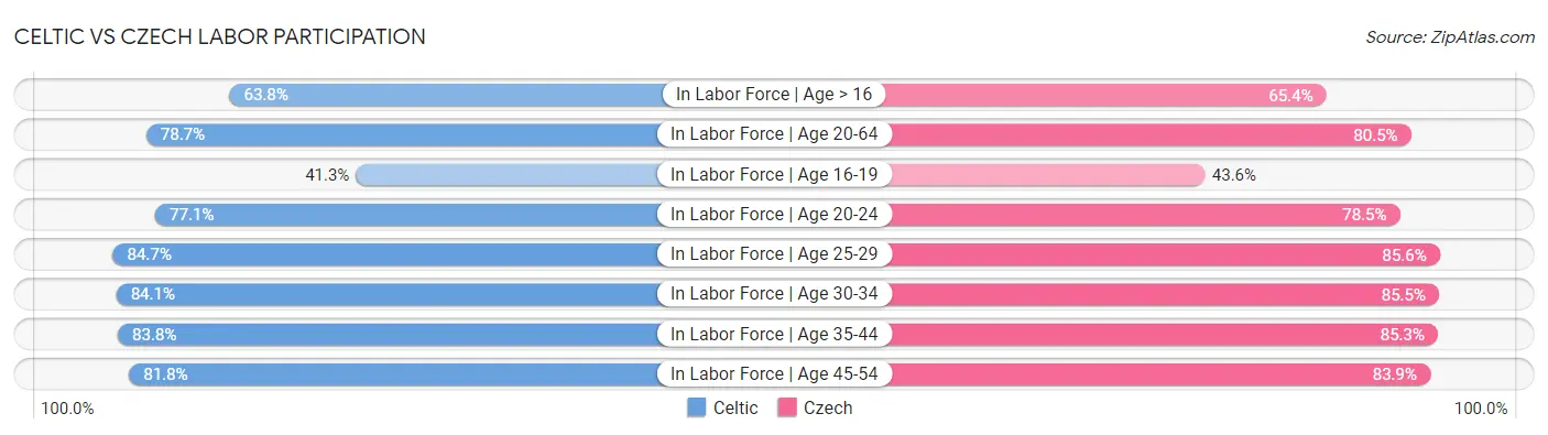 Celtic vs Czech Labor Participation