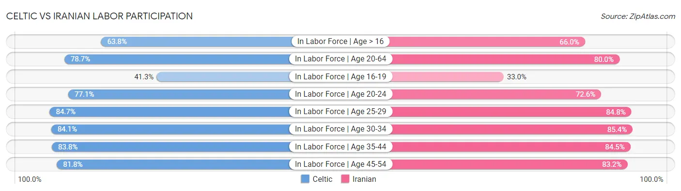 Celtic vs Iranian Labor Participation
