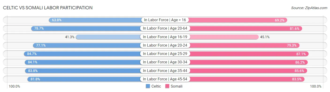 Celtic vs Somali Labor Participation