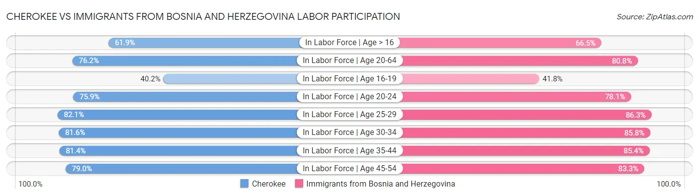 Cherokee vs Immigrants from Bosnia and Herzegovina Labor Participation