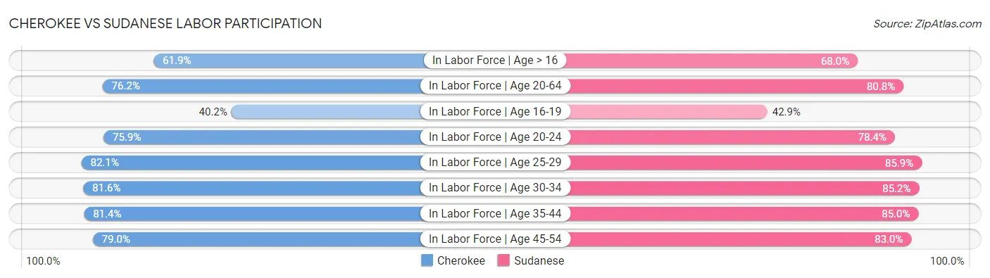 Cherokee vs Sudanese Labor Participation