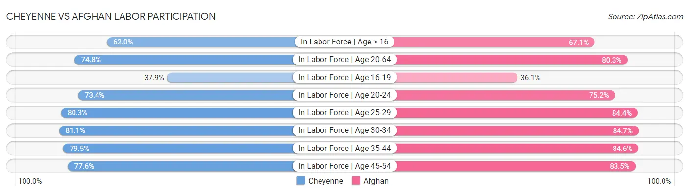 Cheyenne vs Afghan Labor Participation