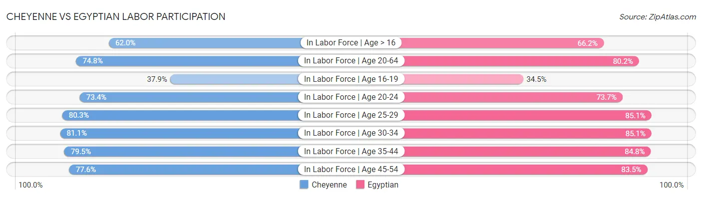 Cheyenne vs Egyptian Labor Participation
