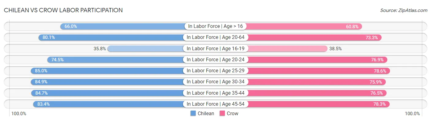Chilean vs Crow Labor Participation