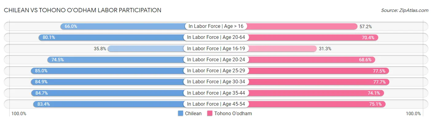 Chilean vs Tohono O'odham Labor Participation