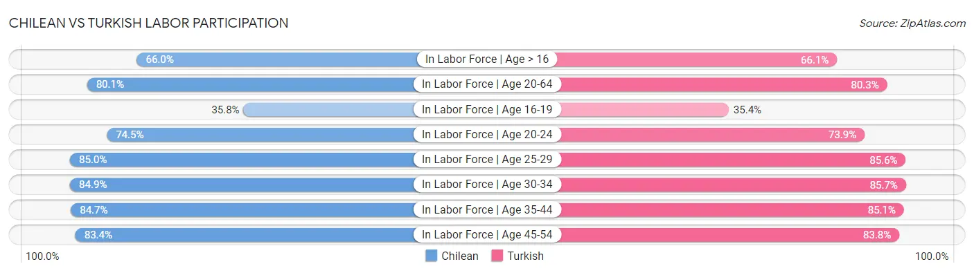 Chilean vs Turkish Labor Participation