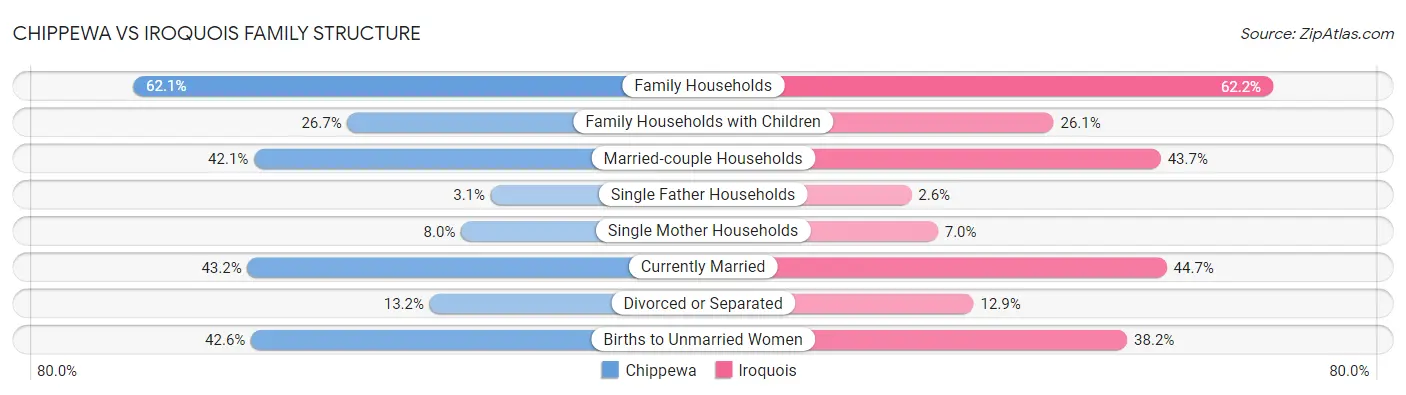 Chippewa vs Iroquois Family Structure