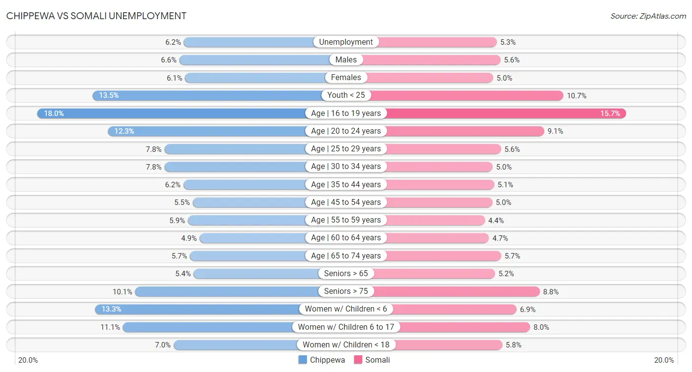 Chippewa vs Somali Unemployment