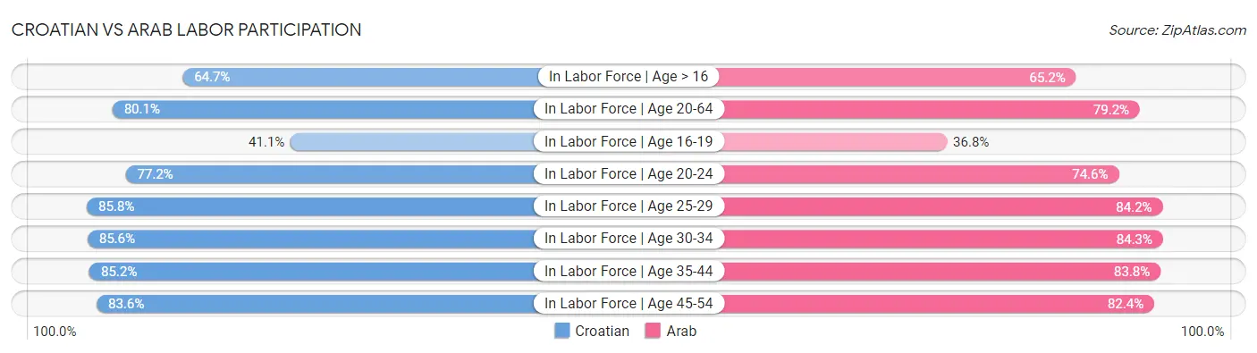 Croatian vs Arab Labor Participation