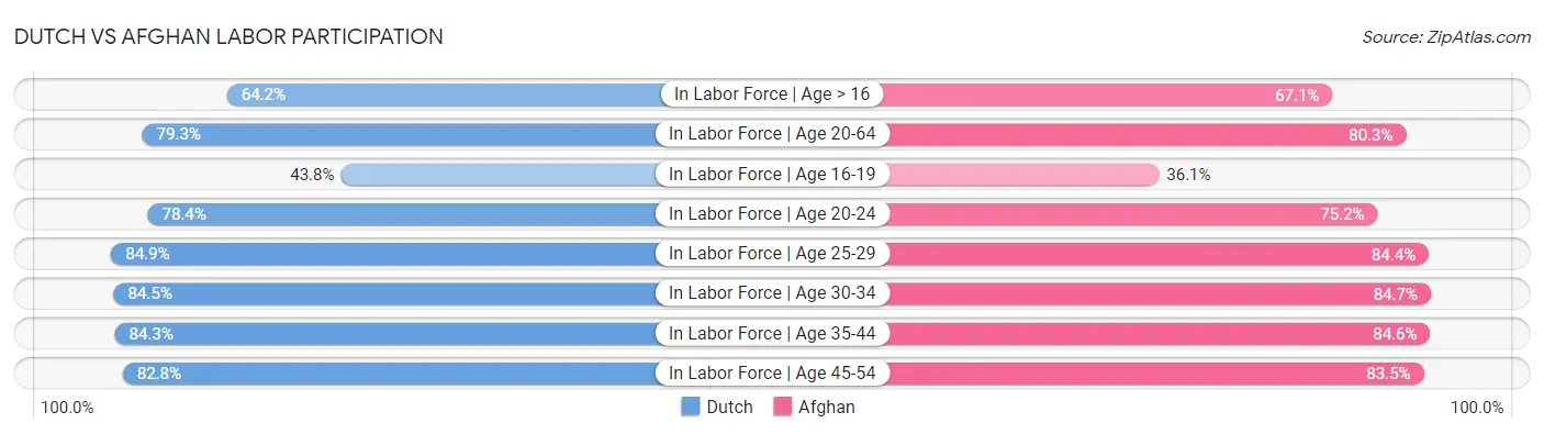 Dutch vs Afghan Labor Participation