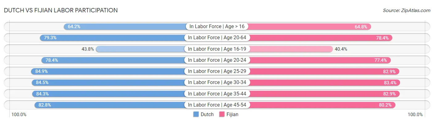 Dutch vs Fijian Labor Participation