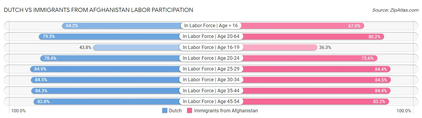 Dutch vs Immigrants from Afghanistan Labor Participation