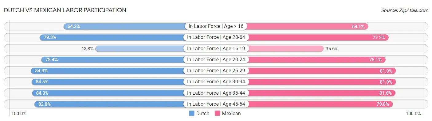 Dutch vs Mexican Labor Participation