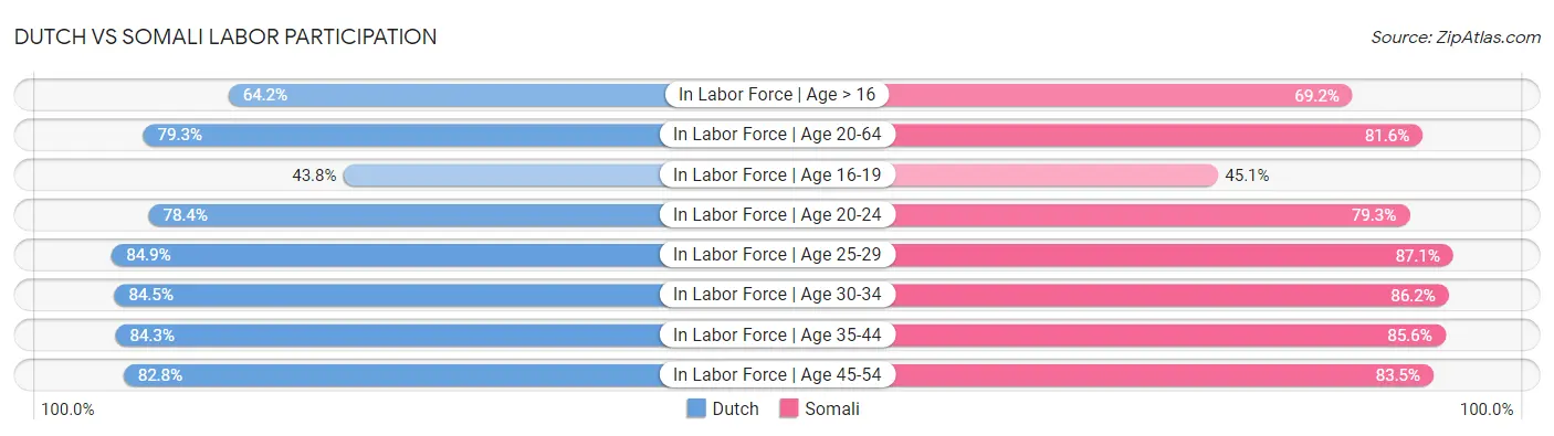 Dutch vs Somali Labor Participation
