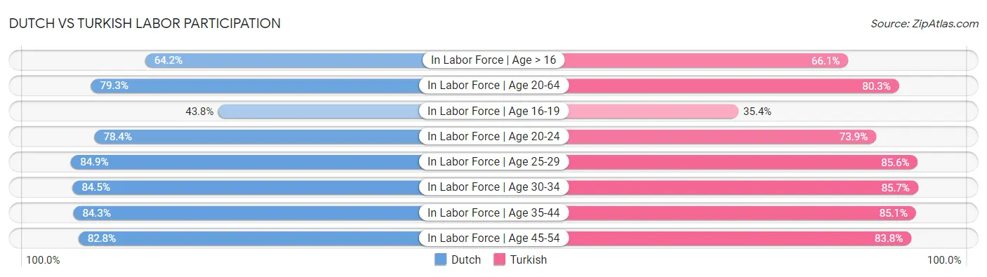 Dutch vs Turkish Labor Participation