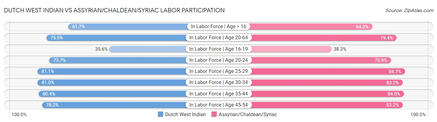 Dutch West Indian vs Assyrian/Chaldean/Syriac Labor Participation