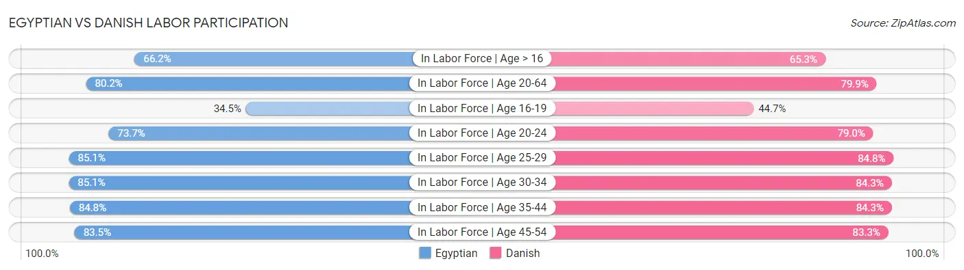 Egyptian vs Danish Labor Participation