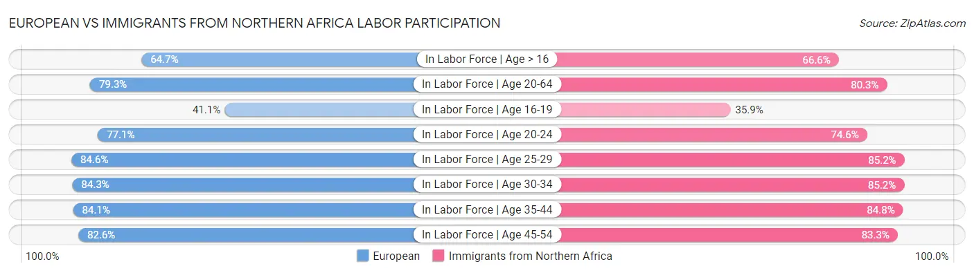 European vs Immigrants from Northern Africa Labor Participation