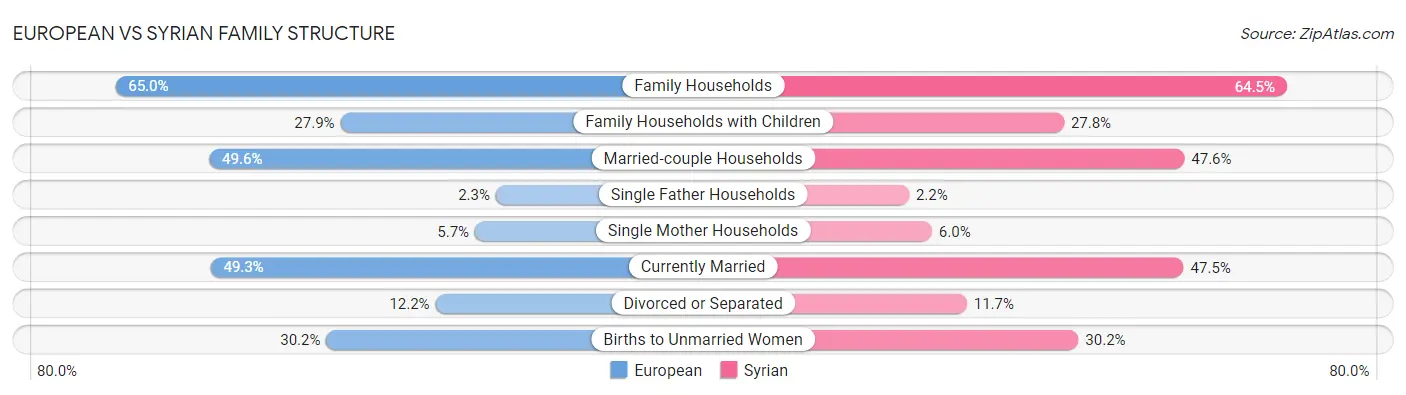 European vs Syrian Family Structure