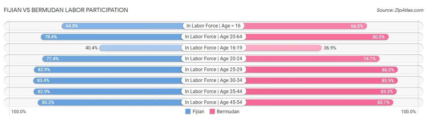 Fijian vs Bermudan Labor Participation