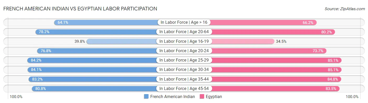 French American Indian vs Egyptian Labor Participation