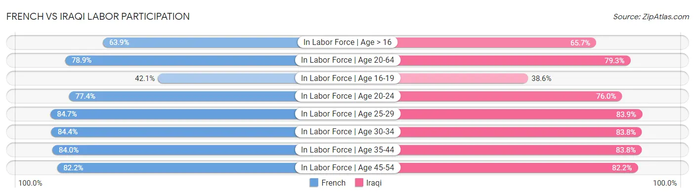 French vs Iraqi Labor Participation