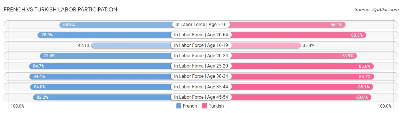 French vs Turkish Labor Participation