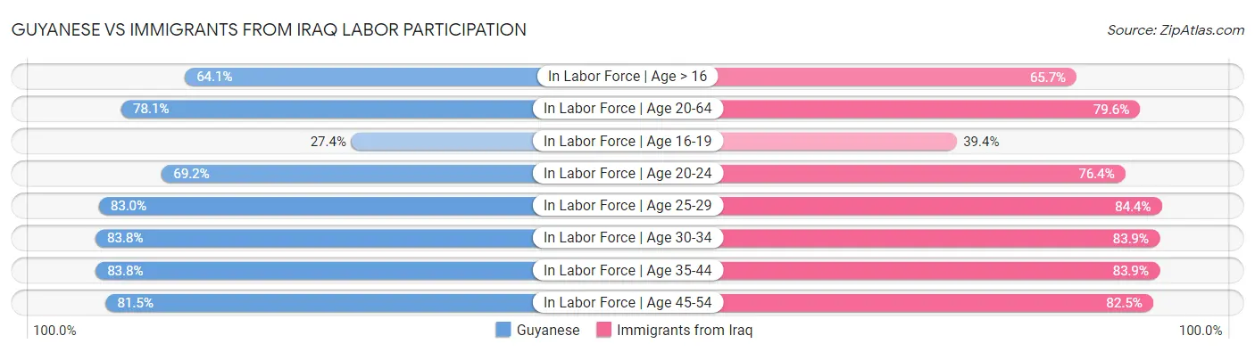 Guyanese vs Immigrants from Iraq Labor Participation