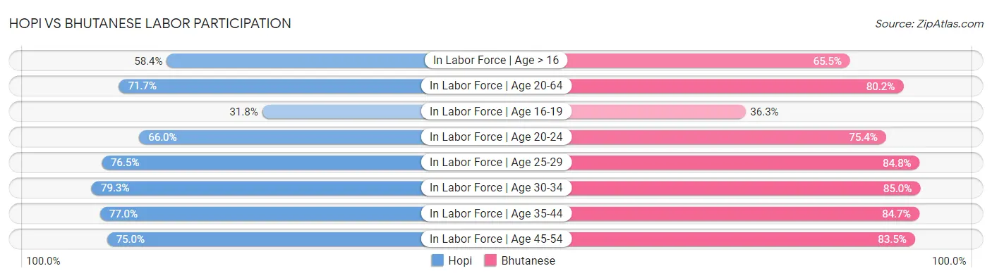 Hopi vs Bhutanese Labor Participation