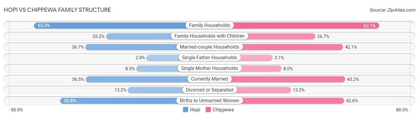 Hopi vs Chippewa Family Structure