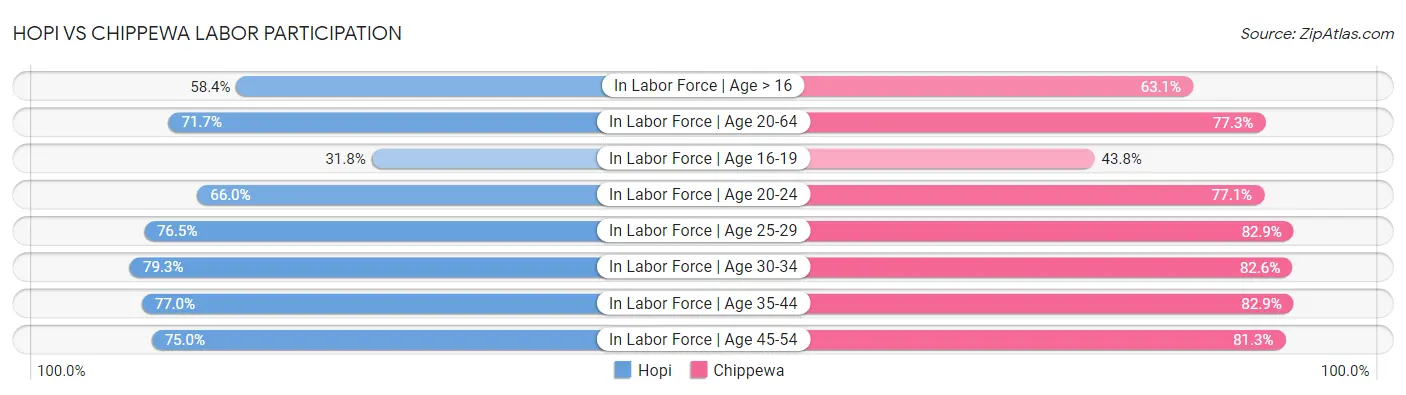 Hopi vs Chippewa Labor Participation