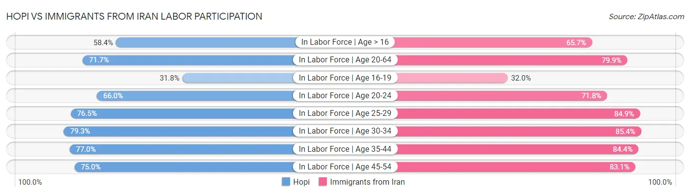 Hopi vs Immigrants from Iran Labor Participation