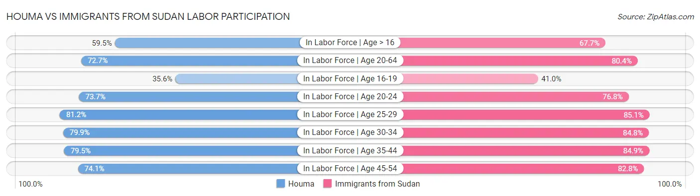Houma vs Immigrants from Sudan Labor Participation
