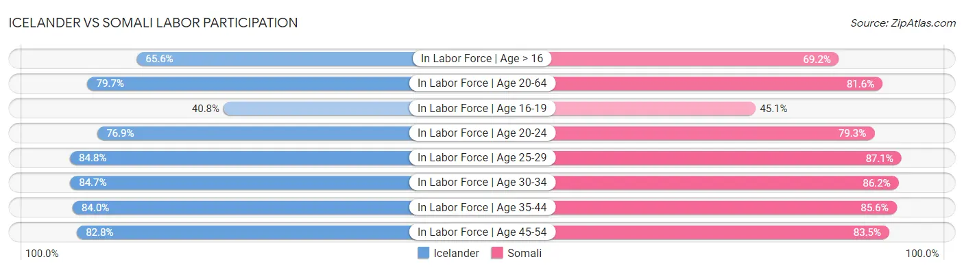 Icelander vs Somali Labor Participation