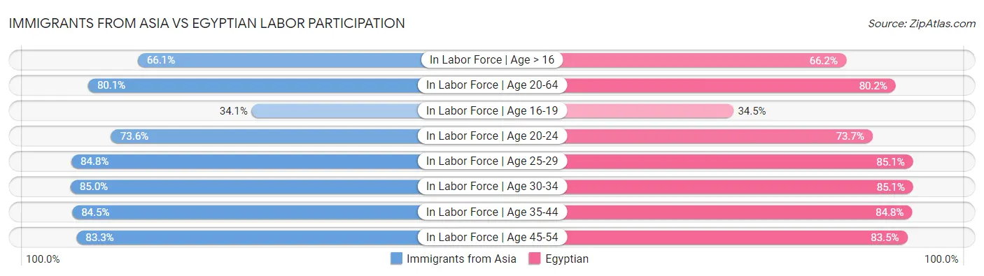 Immigrants from Asia vs Egyptian Labor Participation