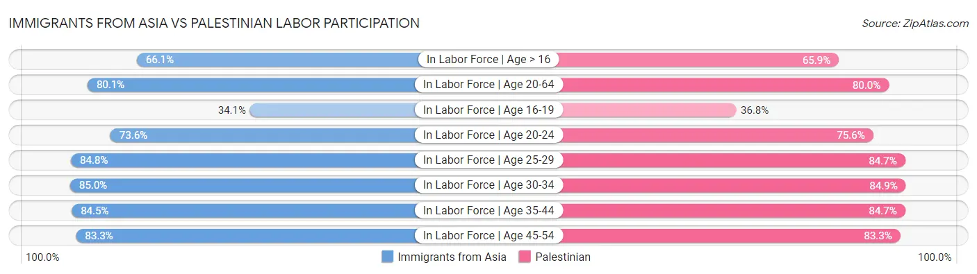 Immigrants from Asia vs Palestinian Labor Participation