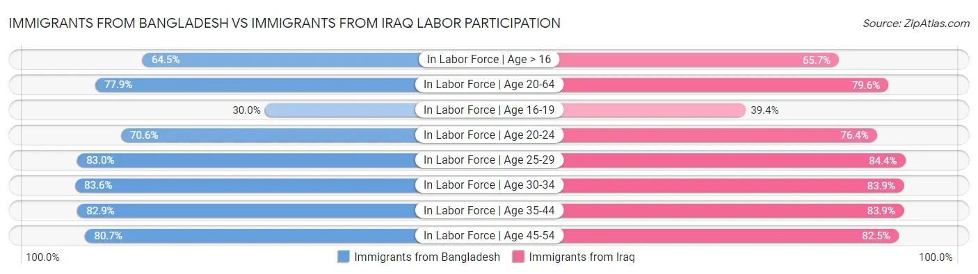 Immigrants from Bangladesh vs Immigrants from Iraq Labor Participation