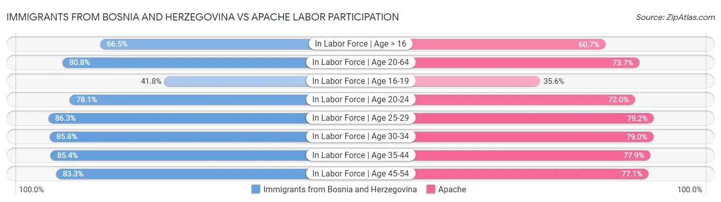 Immigrants from Bosnia and Herzegovina vs Apache Labor Participation