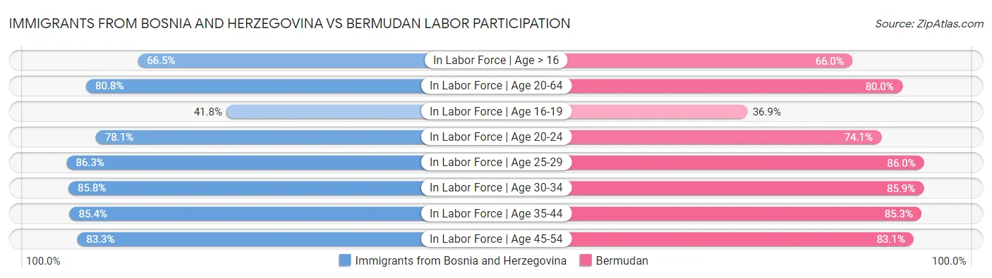 Immigrants from Bosnia and Herzegovina vs Bermudan Labor Participation