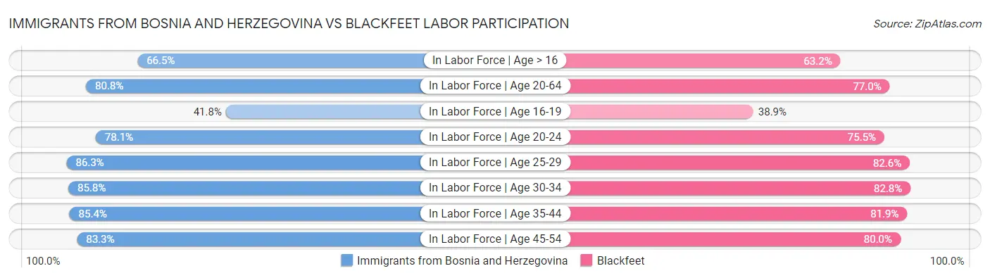 Immigrants from Bosnia and Herzegovina vs Blackfeet Labor Participation