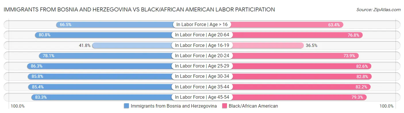 Immigrants from Bosnia and Herzegovina vs Black/African American Labor Participation